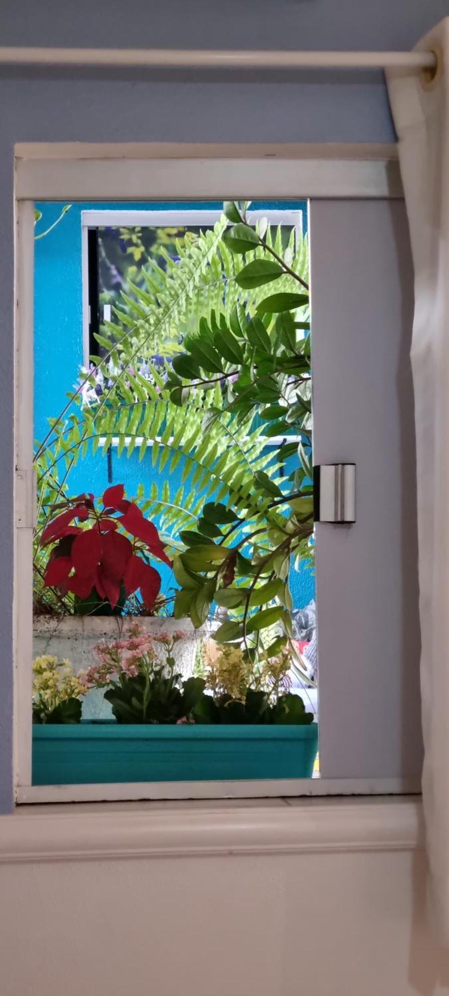 Pousada Recanto Da Familia Natal Exterior foto